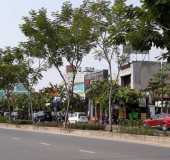 Cho thuê nhà mặt tiền đường Trần Não, Quận 2, 600m2