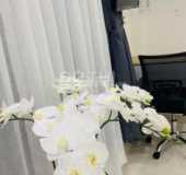 Cho thuê nhà trọ, phòng trọ tại đường Nơ Trang Long, phường 11, Bình Thạnh, Hồ Chí Minh