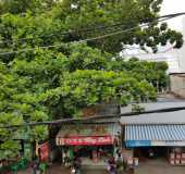 Cho thuê phòng trọ sinh viên Q7, toilet riêng không chung chủ