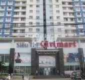 Cần cho thuê gấp căn Hộ Đất Phương Nam, 105m2, 2PN 2WC, chỉ 10.5 triệu/th