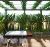 Biệt thự thiết kế hiện đại - Tiện nghi cao cấp - 11x21m - Giá thuê 60 triệu/th