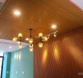 Cho thuê nhà phố biệt thự thuộc KDC Cát Lái, Q2 - Đường 12 mét, giá 12 - 15 tr/th, LH 0933 530 529