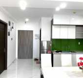 Quản lý cho thuê 100% căn hộ Saigon South Phú Mỹ Hưng 2PN, 12tr/th 3PN 16tr/th full nội thất CC