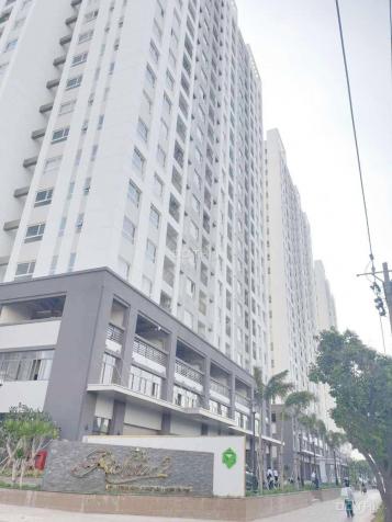 Cho thuê căn hộ Richstar Quận Tân Phú, 65 m2 (2PN - 2WC), giá 9 tr/tháng