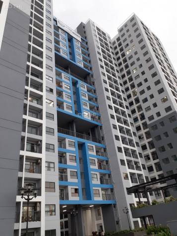 Cho thuê gấp CH Sài Gòn Avenue 47m2, trang bị kệ bếp trên dưới, nhà mới 100%, giá 6 tr/th
