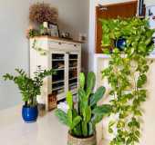 Cho thuê căn hộ cao cấp PARCSpring (2PN, nội thất đầy đủ, nhà đẹp) LH 0903 824249 Vân