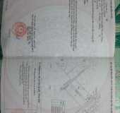 Bán gấp dãy trọ nằm đường 10 Linh Xuân, ngay trường Đào Sơn Tây, DT: 57,4m2, giá: 3,1 tỷ