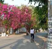 Cho thuê nhà nguyên căn ở đường 24, P. Linh Đông, Thủ Đức diện tích 45m2 + gác lửng - Giá 4tr/th