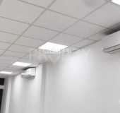 Cho thuê nhà nguyên căn mặt tiền đường số P.Tân Phú ,Q7 ,có thang máy ,phù hợp làm văn phòng