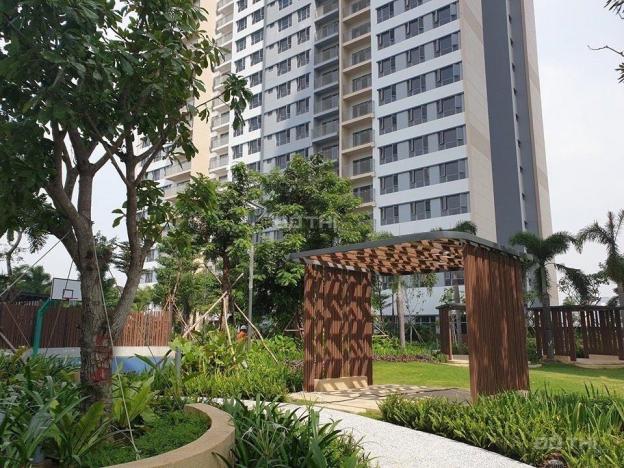 PKD Palm Heights - Palm City cung cấp thông tin căn hộ cho thuê cập nhật tháng 6/2021