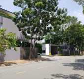 Cho thuê nhà 2MT Nguyễn Văn Hưởng - DT: 560m2 - Giá: 180 triệu/tháng