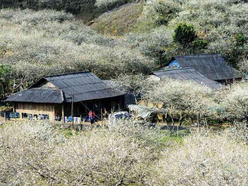 Bản Lóng Luông